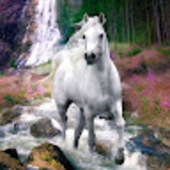 Meet your Posher, Katia - Picture 1 of 1